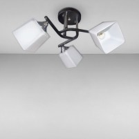 Изображение люстры SRS-14112/3 BK черная