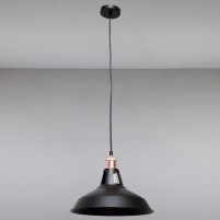 Изображение люстры LS-14011/1 BK 310