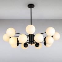 Изображение люстры LS-14858-16 BK+WH черная