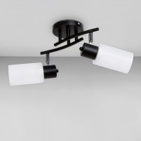 Изображение люстры SH-1299/2 BK+CR черная + хром, плафон белый