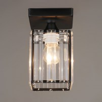 Изображение люстры SR-N3888/1H BK черная