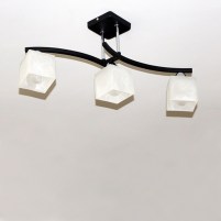 Изображение люстры SRS-13541/3 черный