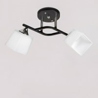 Изображение люстры SRS-16037/2 BK CR черная