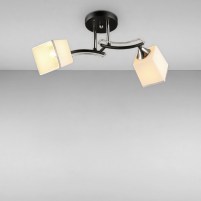 Изображение люстры SRS-16335/2 BK черный + хром