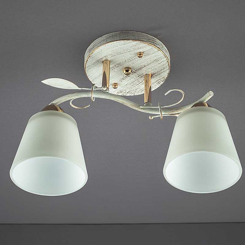 Изображение люстры SW-10531/2 WG FG